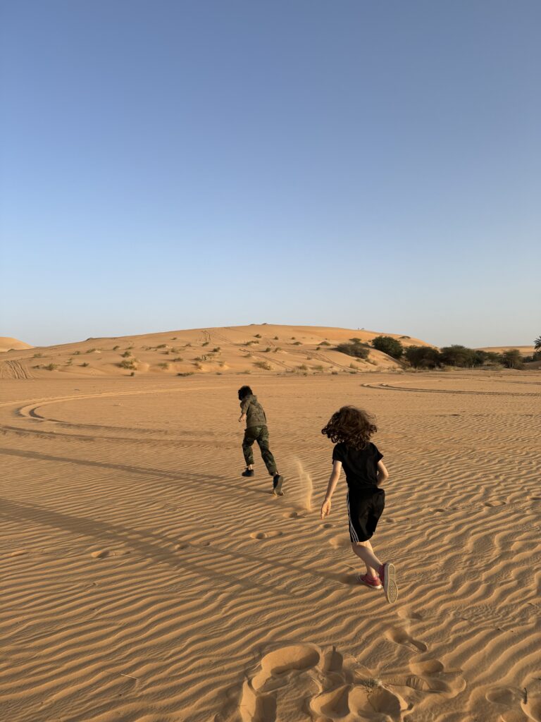 Desert Chingetti